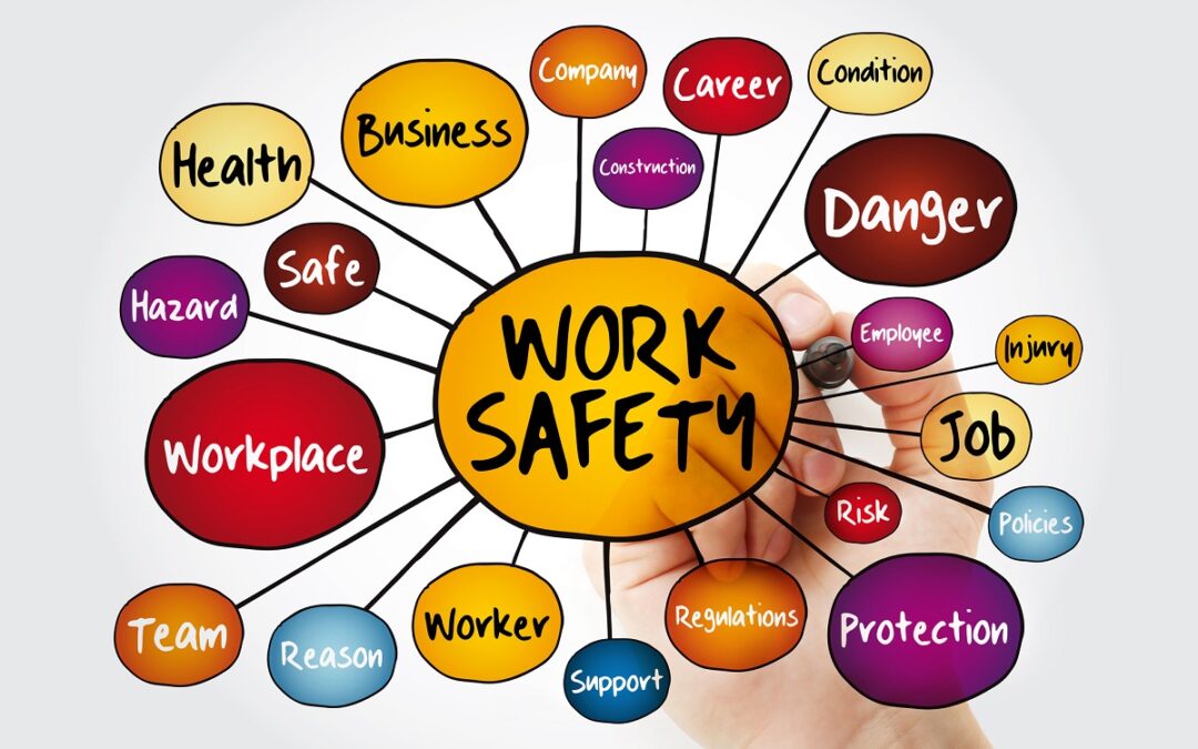 company health and safety chart and the single risks assessment document